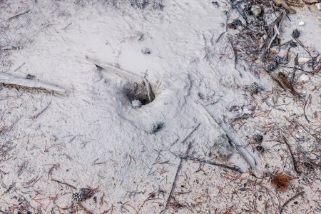 Yellowstone Abstract-2