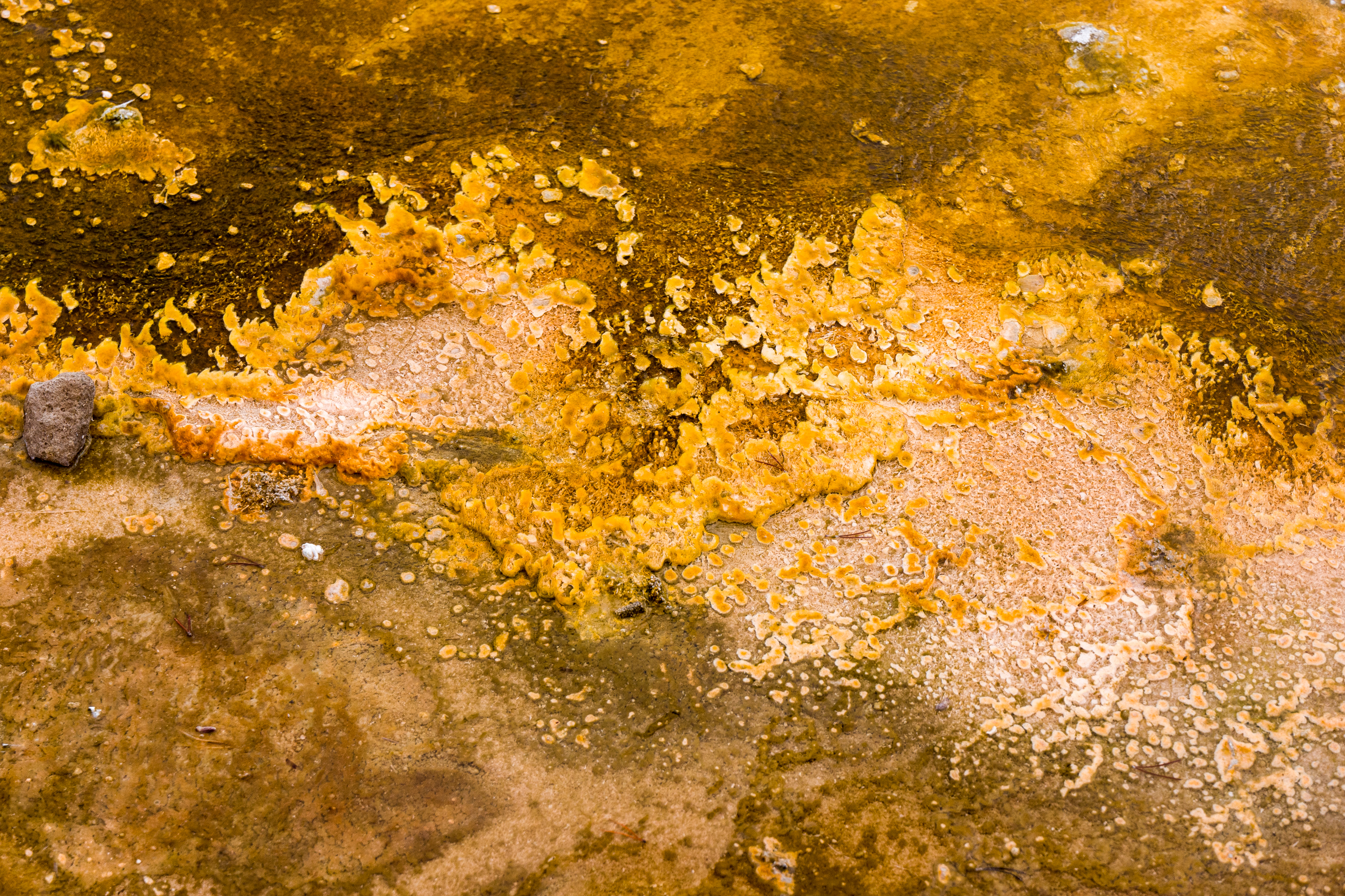 Yellowstone Abstract-3