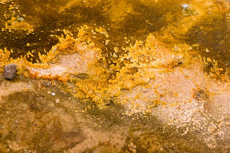 Yellowstone Abstract-3