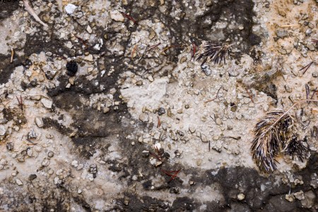 Yellowstone Abstract-5