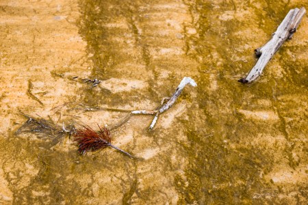 Yellowstone Abstract-6