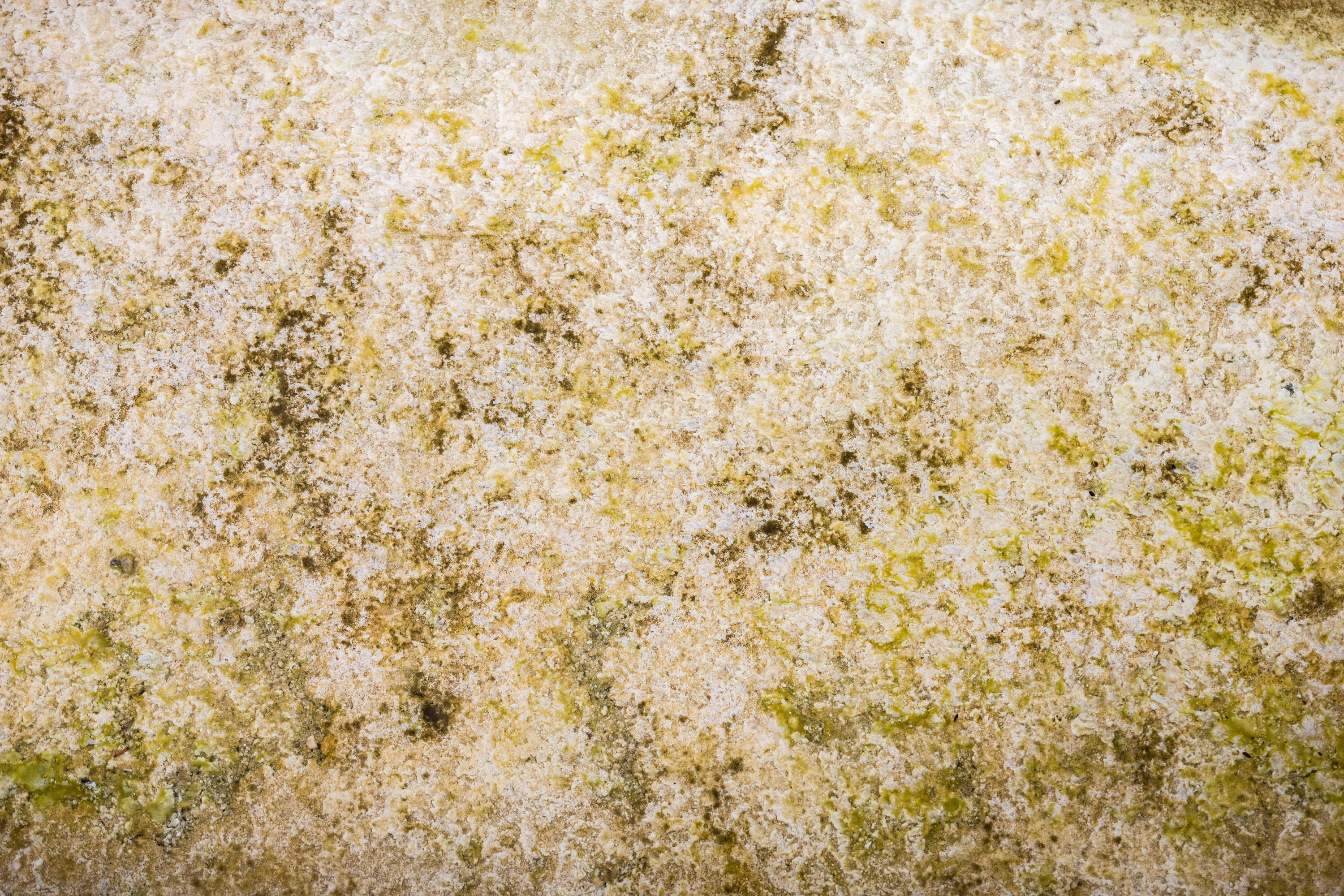 Yellowstone Abstract-7