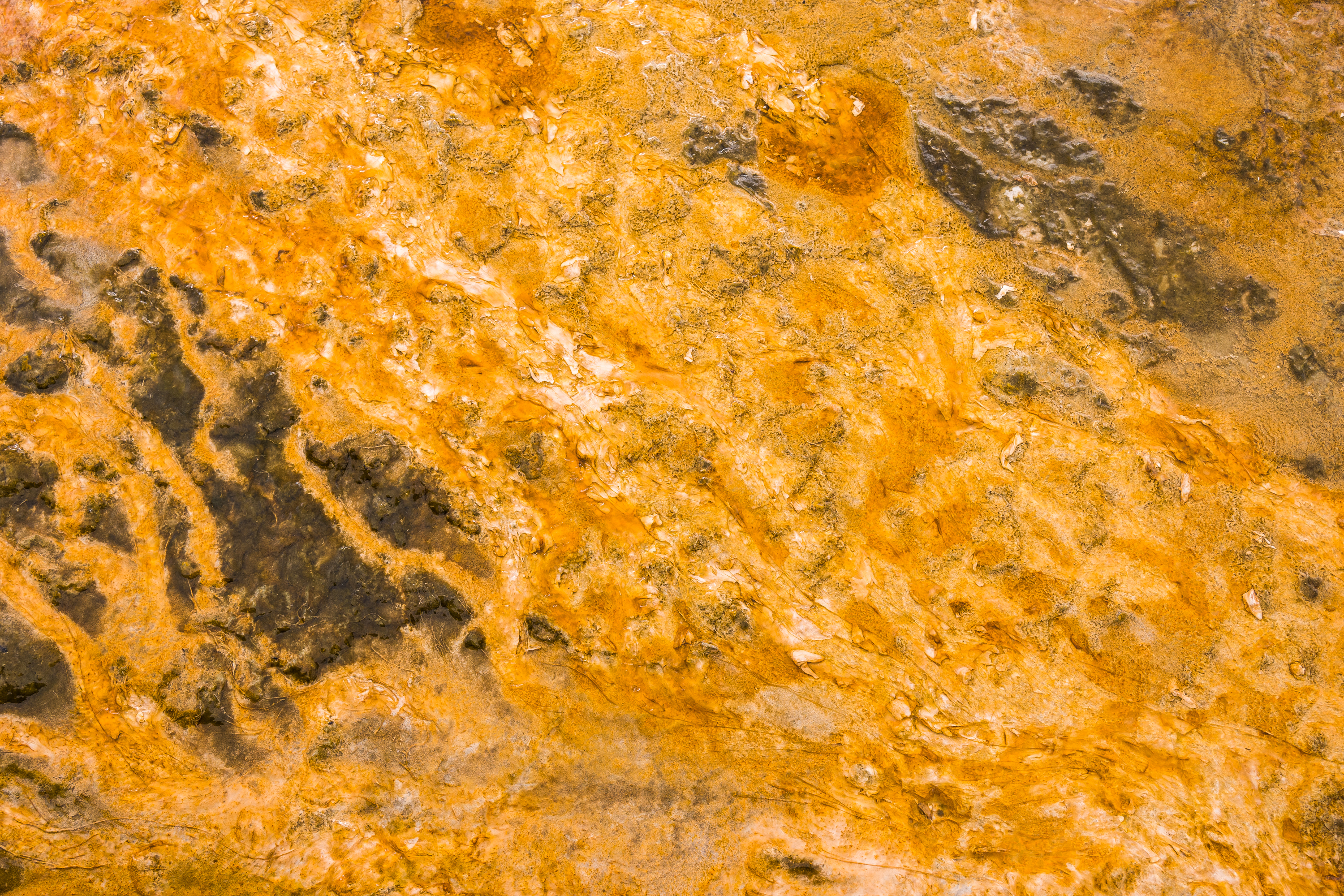 Yellowstone Abstract-9