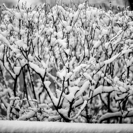 First day of Spring-3