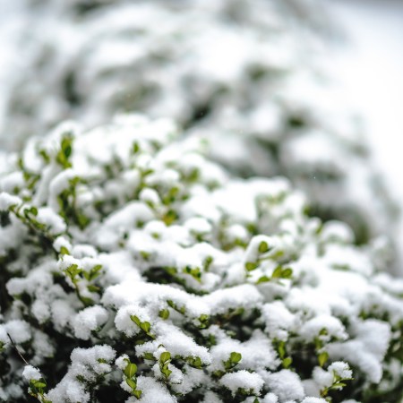 First day of Spring-4