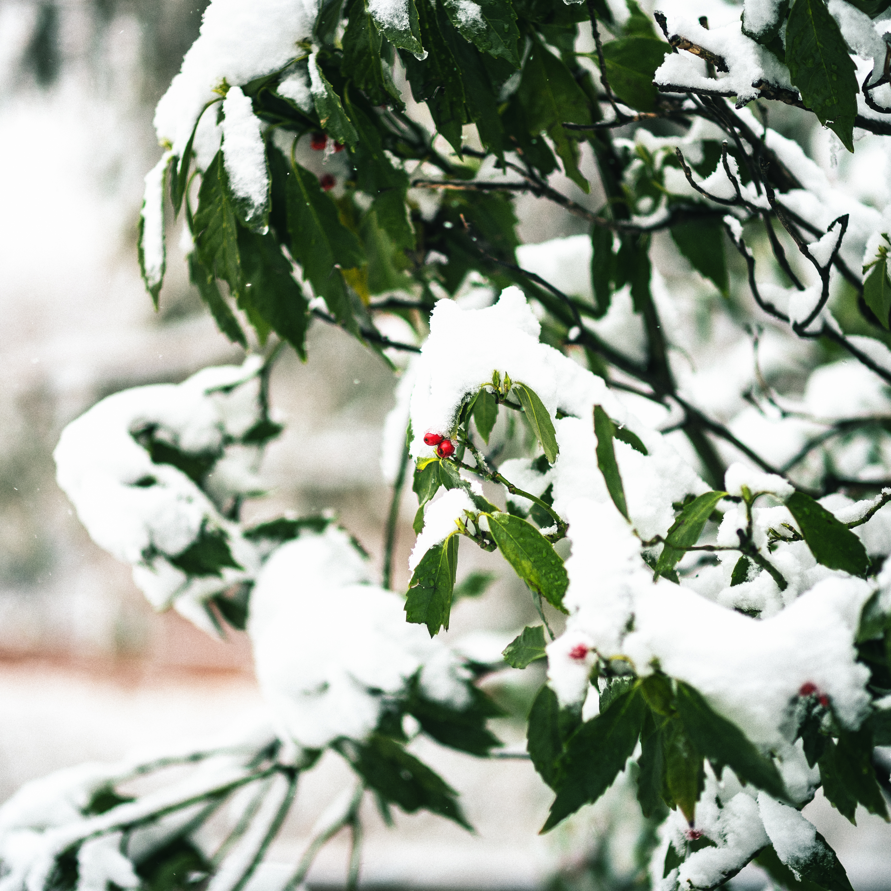 First day of Spring-5