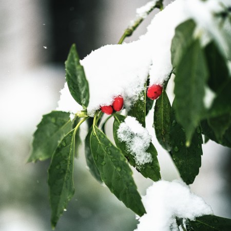 First day of Spring-6