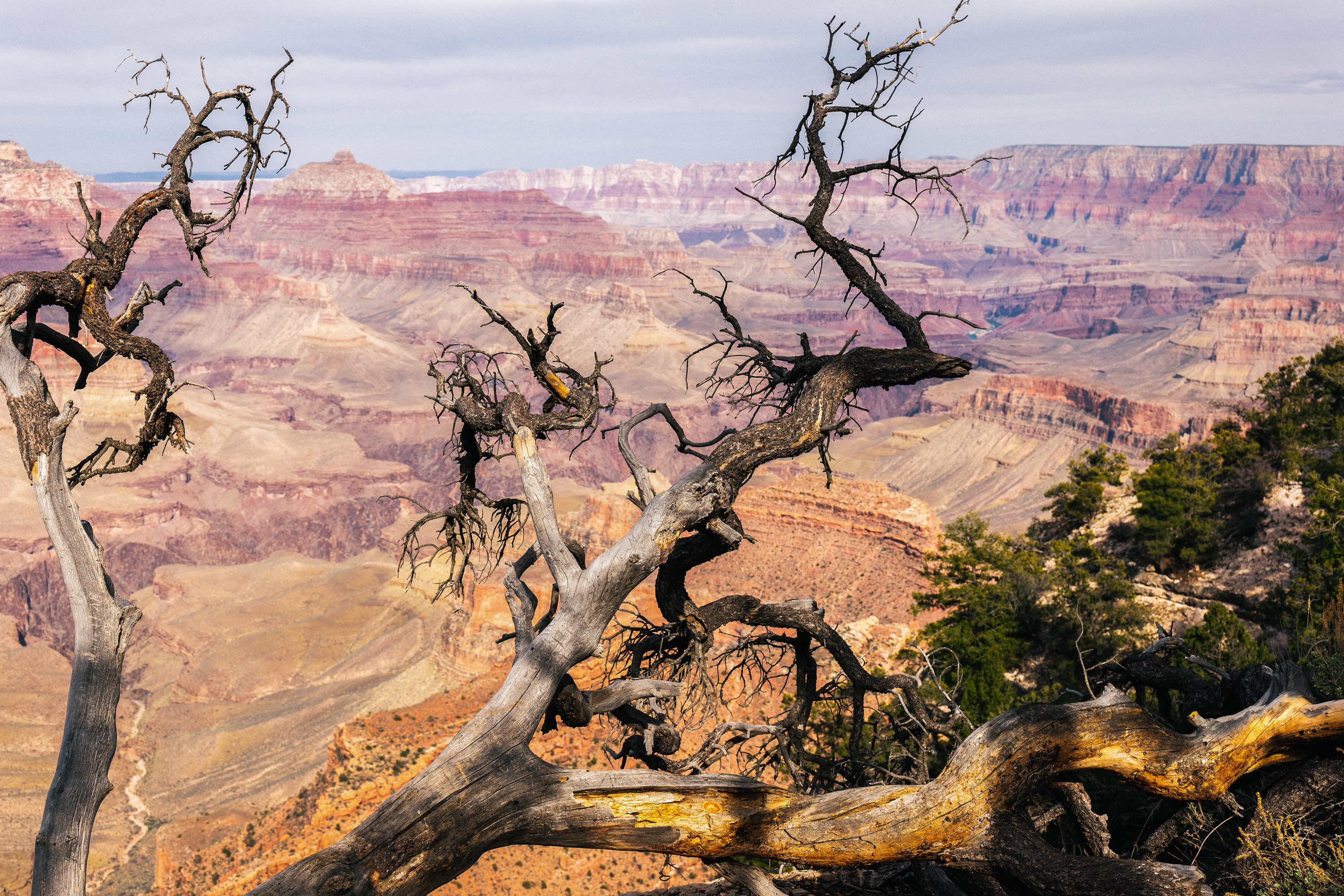 Grand Canyon-10
