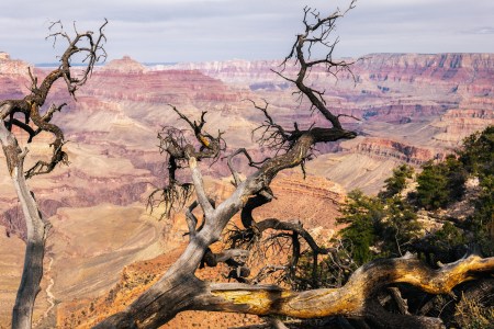 Grand Canyon-10