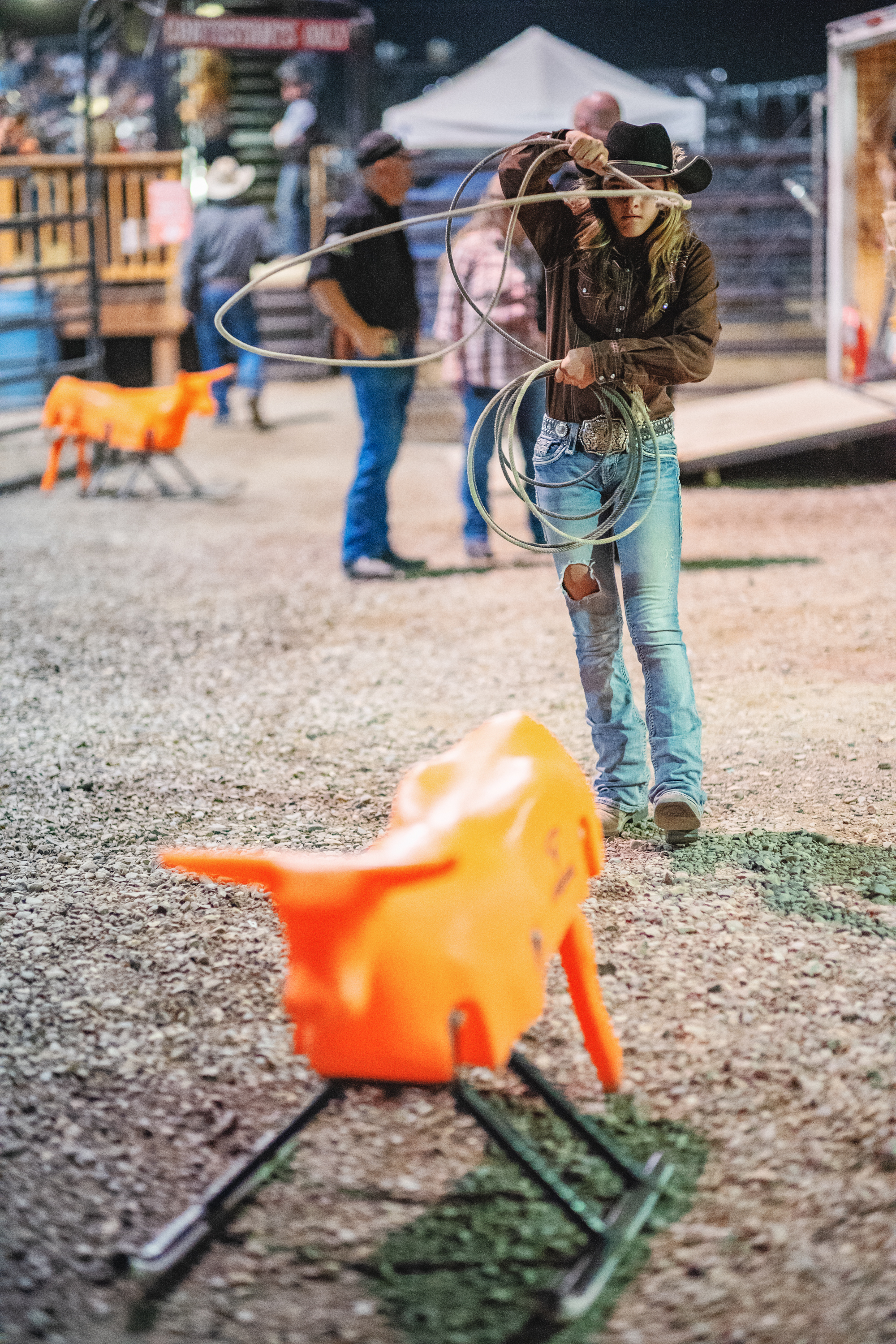 Rodeo Project Supplement-12