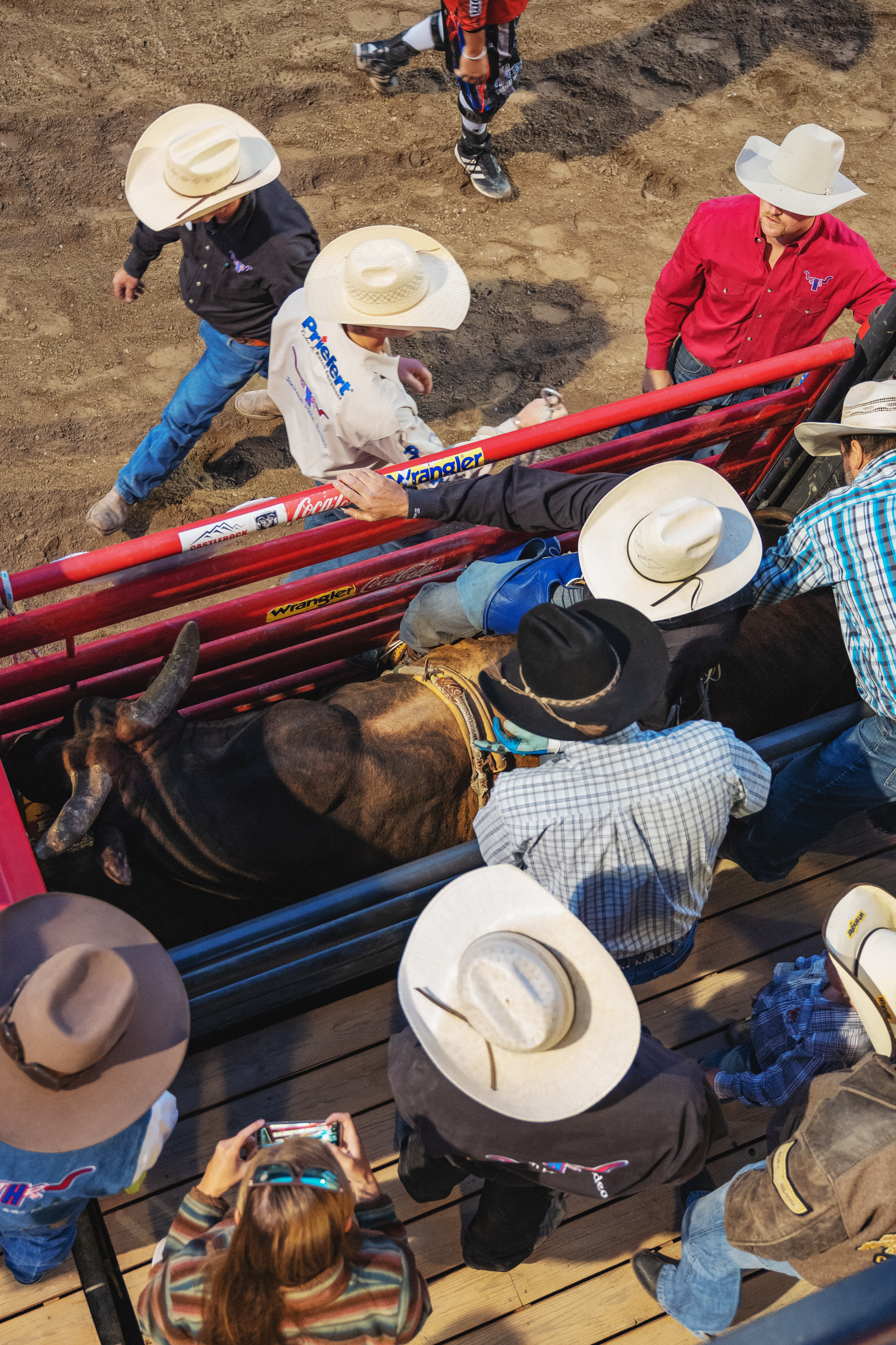 Rodeo Project Supplement-21