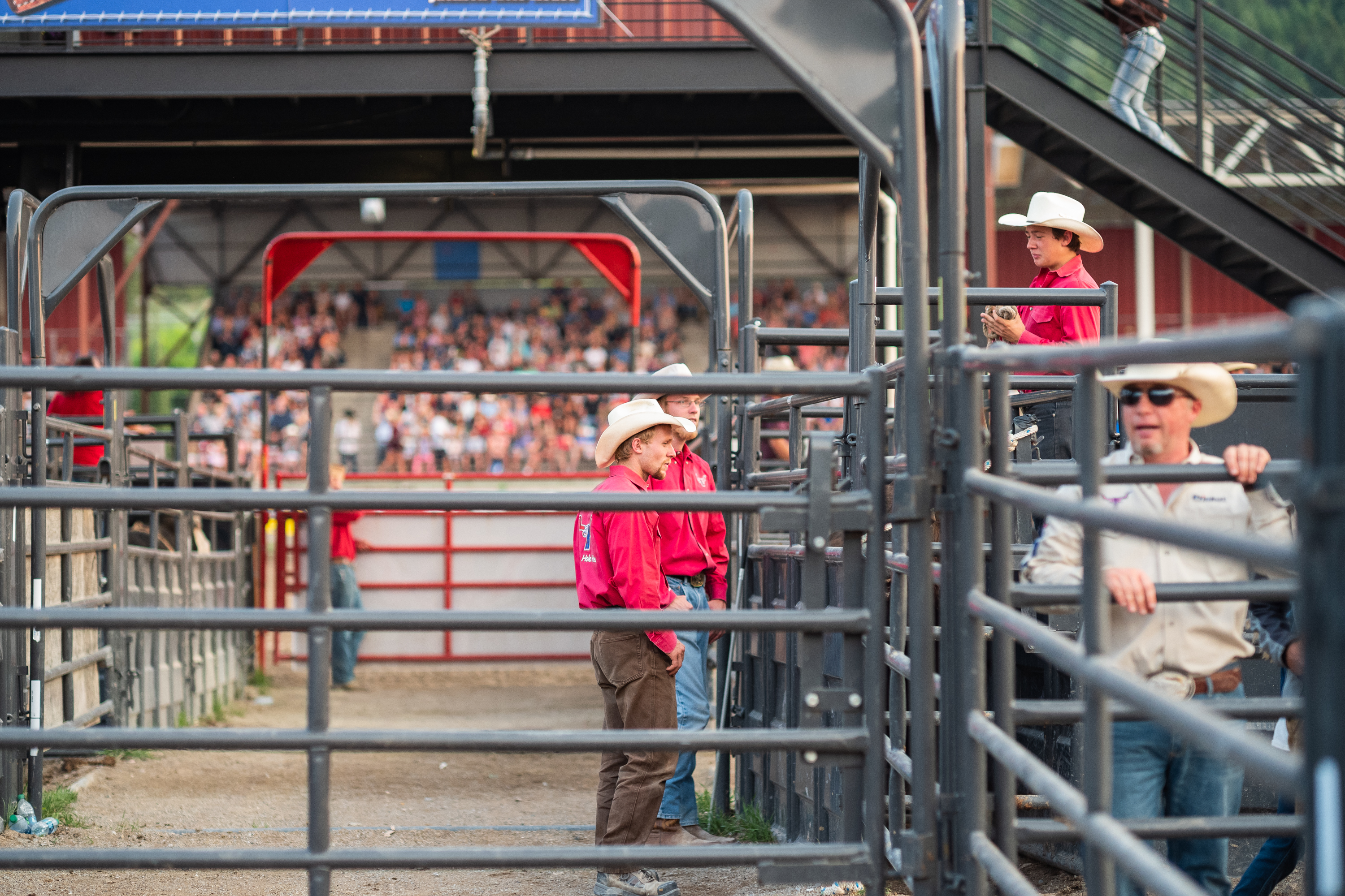 Rodeo Project Supplement-3