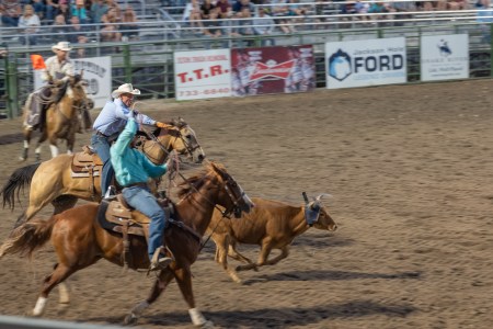 Rodeo Project Supplement-9