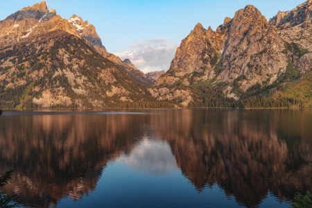 T Frenzy Summer Top 10-14