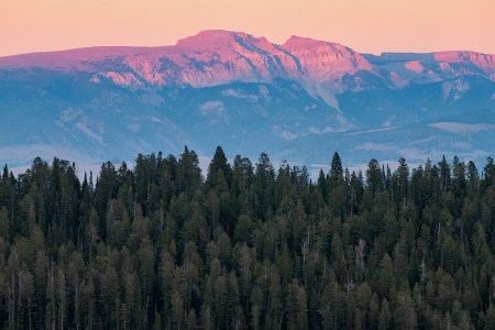 T Frenzy Summer Top 10-23