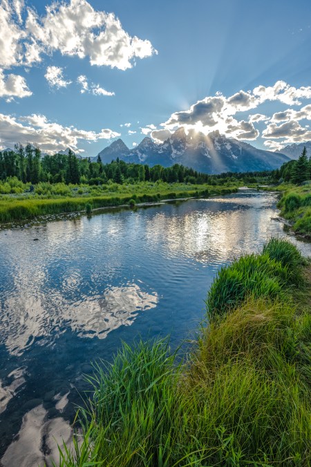 T Frenzy Summer Top 10-4