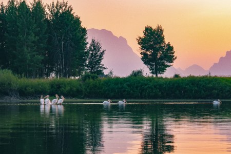 T Frenzy Summer Top 10-6