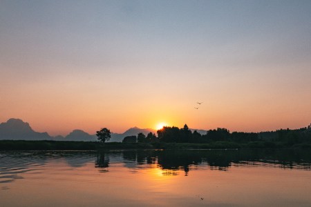 T Frenzy Summer Top 10-7