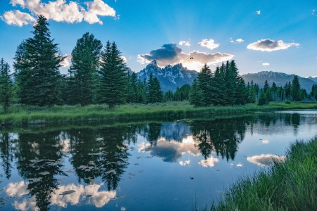 T Frenzy Summer Top 10